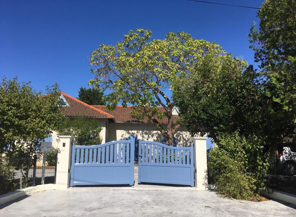 סן ז'אן Chambres D'Hote Le Cedre Bleu מראה חיצוני תמונה